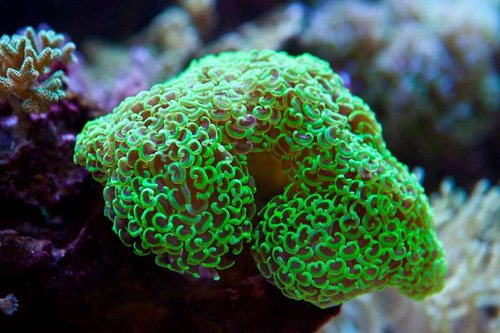 1 marts (22 of 44).jpg