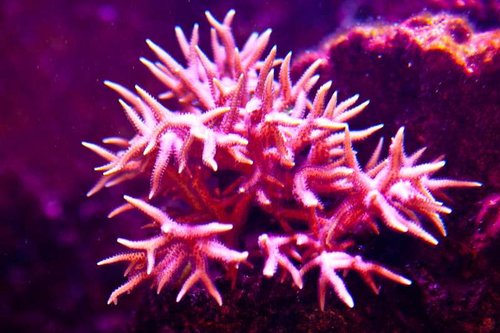 1 marts (23 of 44).jpg
