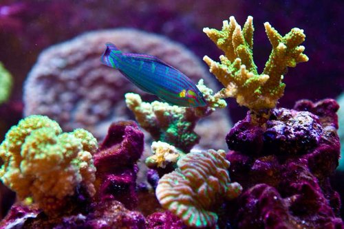 1 marts (24 of 44).jpg