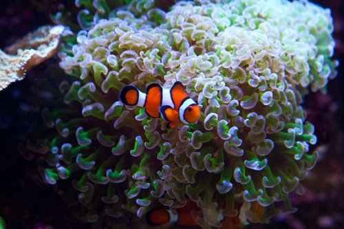 1 marts (26 of 44).jpg