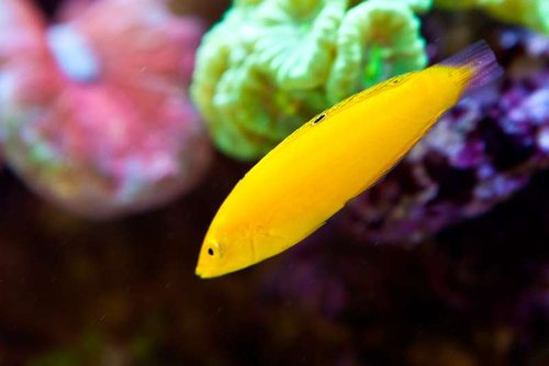 1 marts (27 of 44).jpg