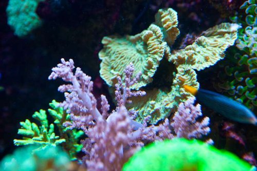 1 marts (31 of 44).jpg