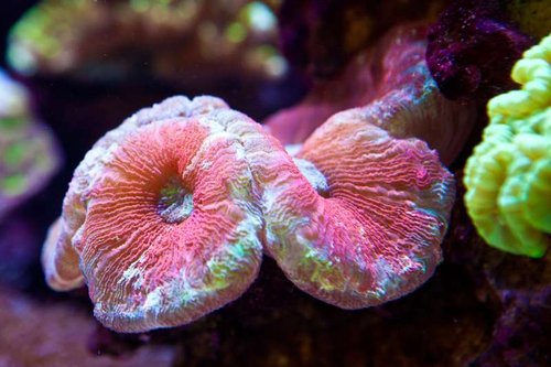 1 marts (34 of 44).jpg