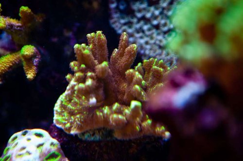 1 marts (36 of 44).jpg