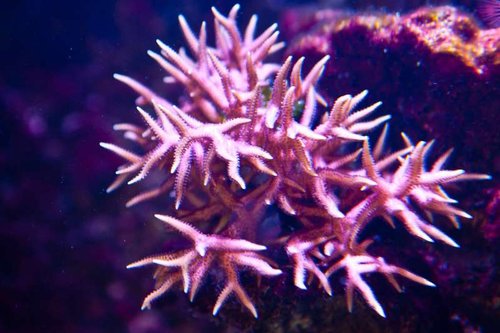 1 marts (40 of 44).jpg
