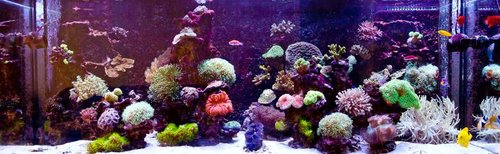 1 marts (44 of 44).jpg