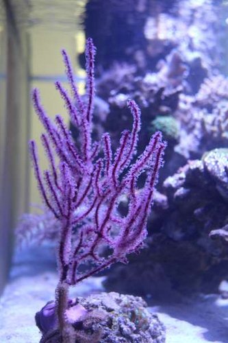 IMG_5615.jpg