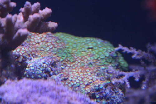 IMG_5604.JPG