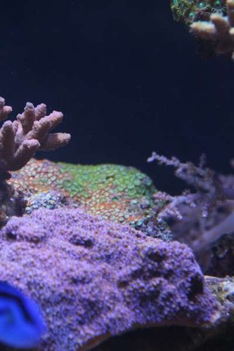 IMG_5606.jpg