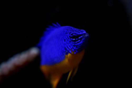 IMG_4723.JPG