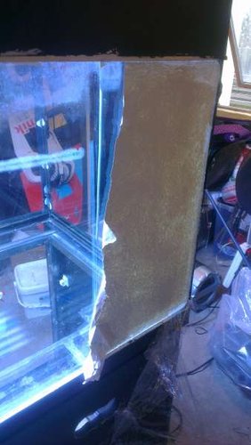 IMAG0149.jpg (22.84 KiB) Vist 5147 gange Den gamle maling på bagglasset var hvid, denne blev skrabet af og en fin Royal Blue blev malet på efterfølgende.