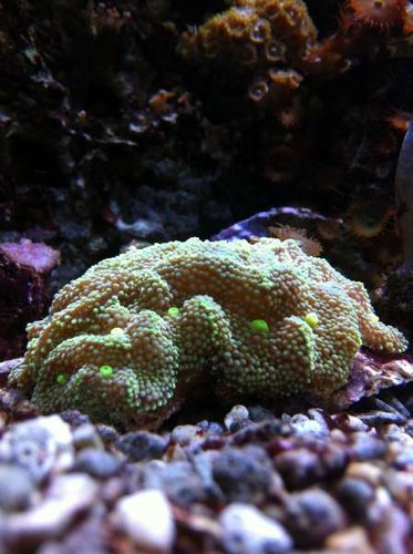 IMG_0240.JPG