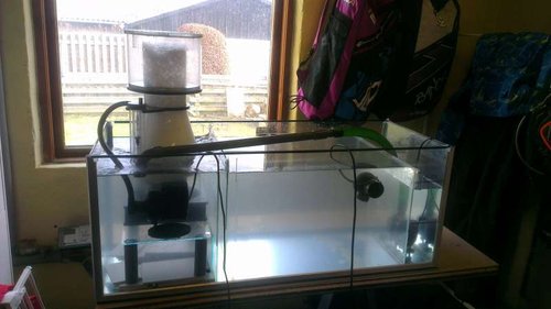 IMAG0265.jpg (34.16 KiB) Vist 5077 gange Sumpen bestod sin endelige prøve efter et par ombygninger, det er fedt når det hele bare spiller max ;) nu glæder jeg mig godt nok til at komme videre.. lavede en test blanding med den rigtige mængde køkken salt og skummeren kørte et par dage, fik da skummet lidt ;)