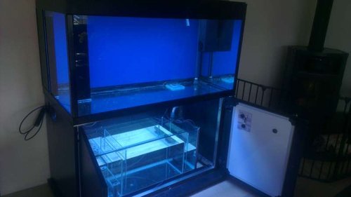 IMAG0285.jpg (22.02 KiB) Vist 4808 gange Der er lavet overløb og det hele er testet endnu engang, overløbet er lavet af 8mm sort glas, dog har jeg idag valgt at lave et par "covers" til overkløbet med et par glas plader i samme mål som overløbet, på dem er lavet et par små udhæng af døde ls og der er drysset knust døde ls ud over resten af glas pladerne som var smurt ind i PU lim. se nederstående billeder :)