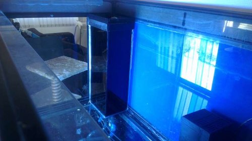 IMAG0315.jpg (31.23 KiB) Vist 5026 gange Overløb før DIY skjul :) 09.03.2013