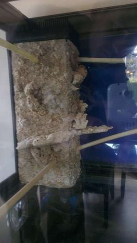 IMAG0326.jpg (17.39 KiB) Vist 5051 gange Lige et mere. 09.03.2013