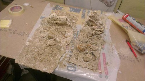 IMAG0304.jpg