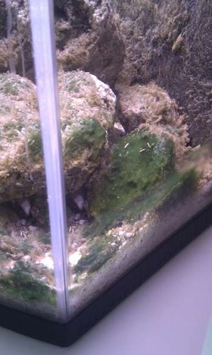 IMAG0017.jpg