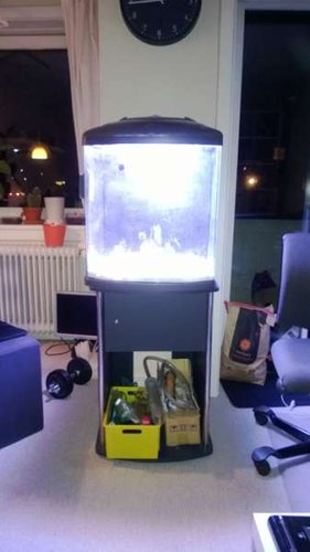 BoxFiles_13031313091951.jpg