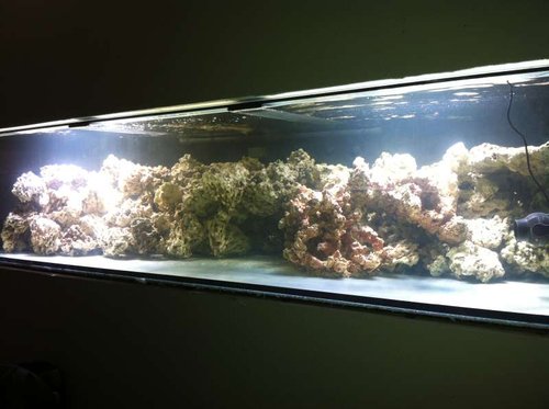 Display
