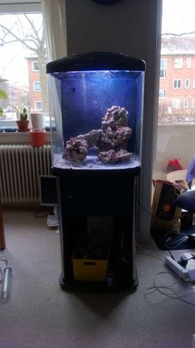 WP_20130316_003.jpg