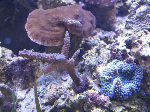 IMG_1089.JPG
