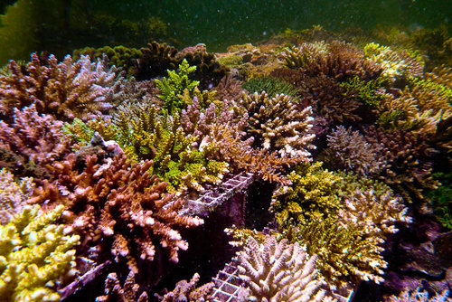 decocean (38 of 66).jpg