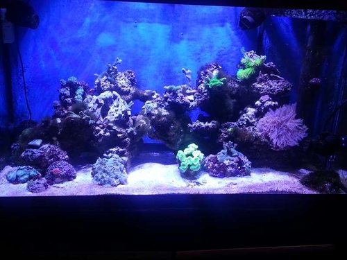 20121225_183946.jpg