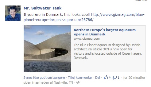 mr saltwater tank.jpg