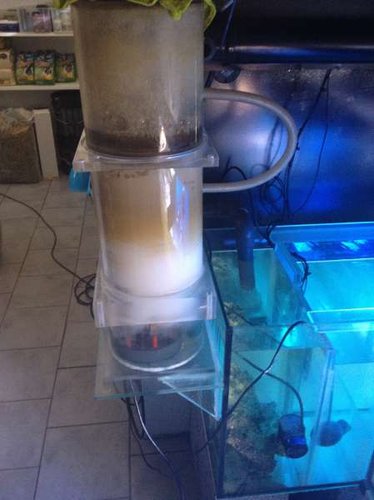 Skummer (DecOcean) samt sump
