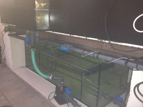 Refugium