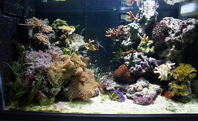 20070405_0005 (Medium).JPG