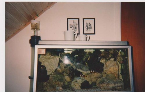 250L only fish