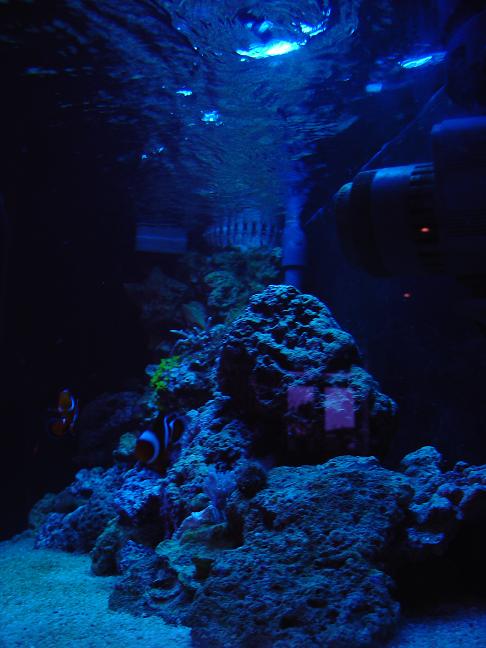 DSC00905.JPG