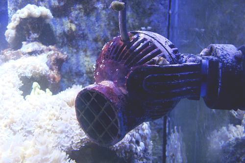 DSC05178-Lille.png (673.31 KiB) Vist 899 gange Full shot