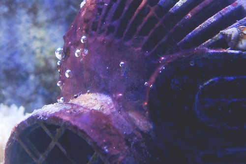 DSC05178-LilleCrop.png (531.72 KiB) Vist 947 gange Crop