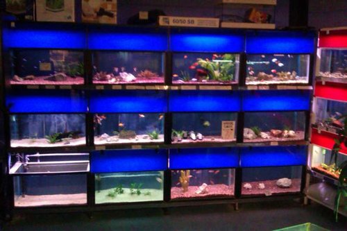 IMAG0221.jpg