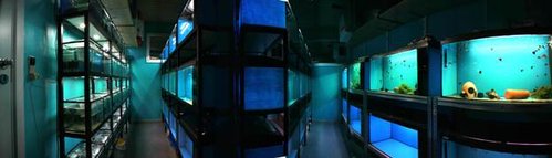 newroom01small.jpg