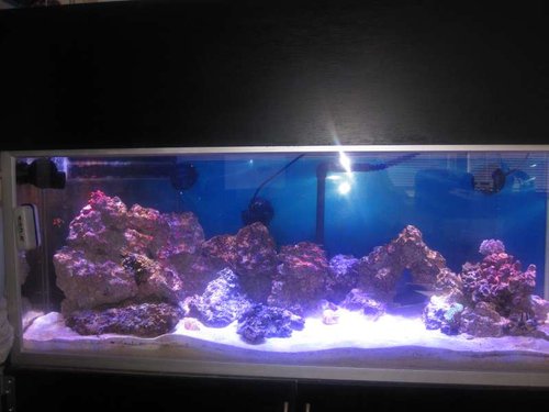 flow 001.JPG (38.76 KiB) Vist 418 gange hele baljen