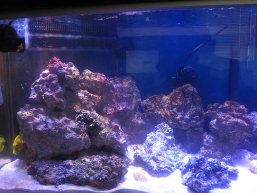 flow 003.JPG (54.31 KiB) Vist 418 gange venstre side