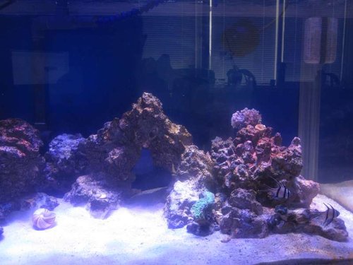 flow 002.JPG (43.89 KiB) Vist 418 gange Højre side