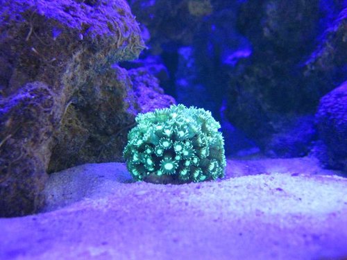 IMG_2266.JPG
