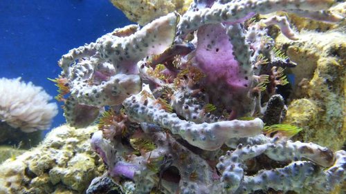 20130416_193532.jpg
