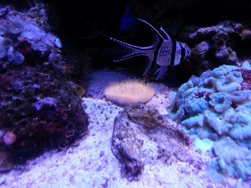 20130419_211612.jpg