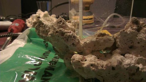 IMAG0304.jpg