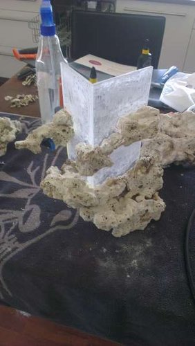 IMAG0314.jpg