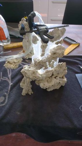 IMAG0319.jpg
