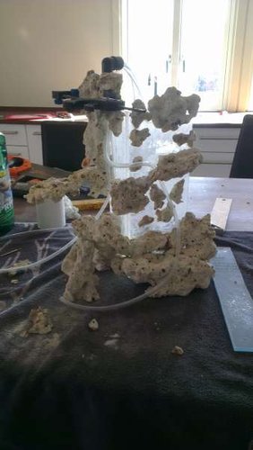 IMAG0322.jpg