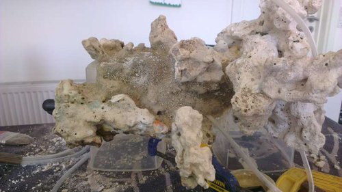 IMAG0338.jpg