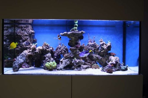 FTS.JPG